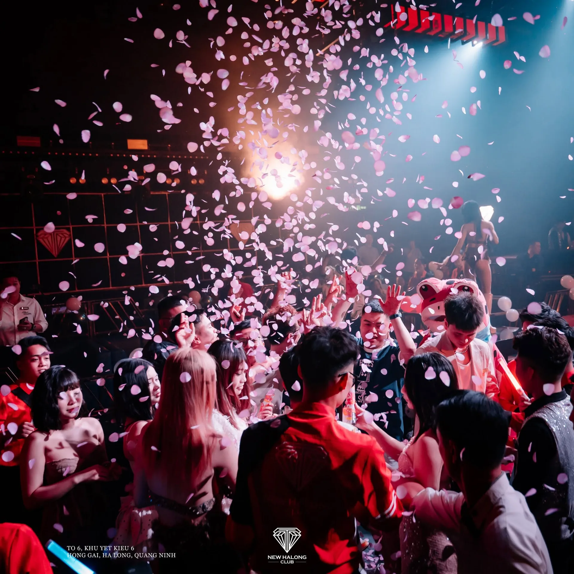 New Hạ Long Club — Mưa cánh hoa trên sàn nhảy